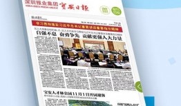 深圳市宝安区新闻爆料,聚焦社区热点事件，揭示民生关切
