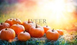 吃瓜娱乐图片高清大图,吃瓜娱乐界的精彩瞬间